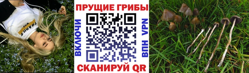 гидра ссылка  мориарти телеграм  Галлюциногенные грибы мухоморы  Павловская 